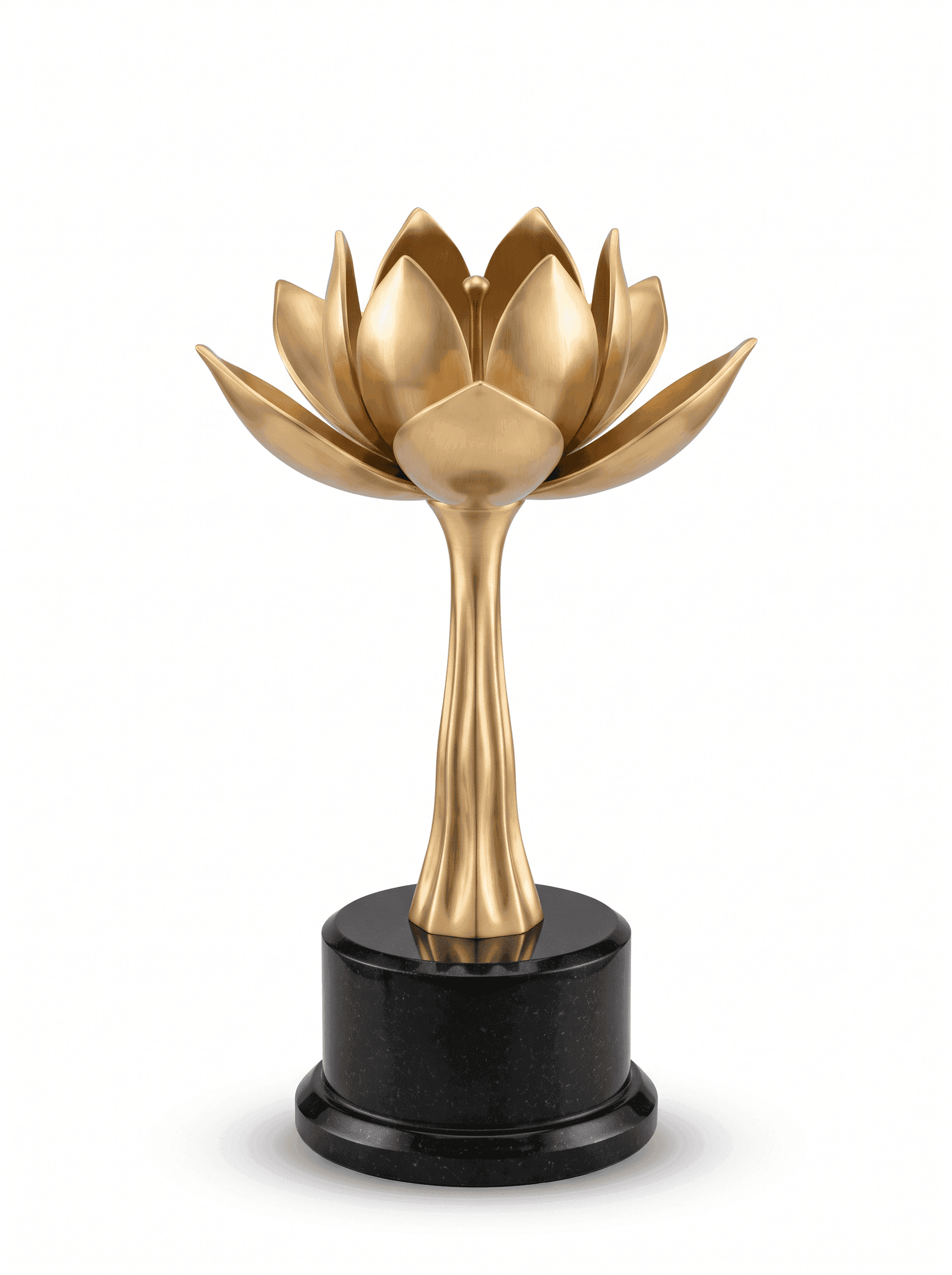 Golden lotus trophy awarded to Golden Planet